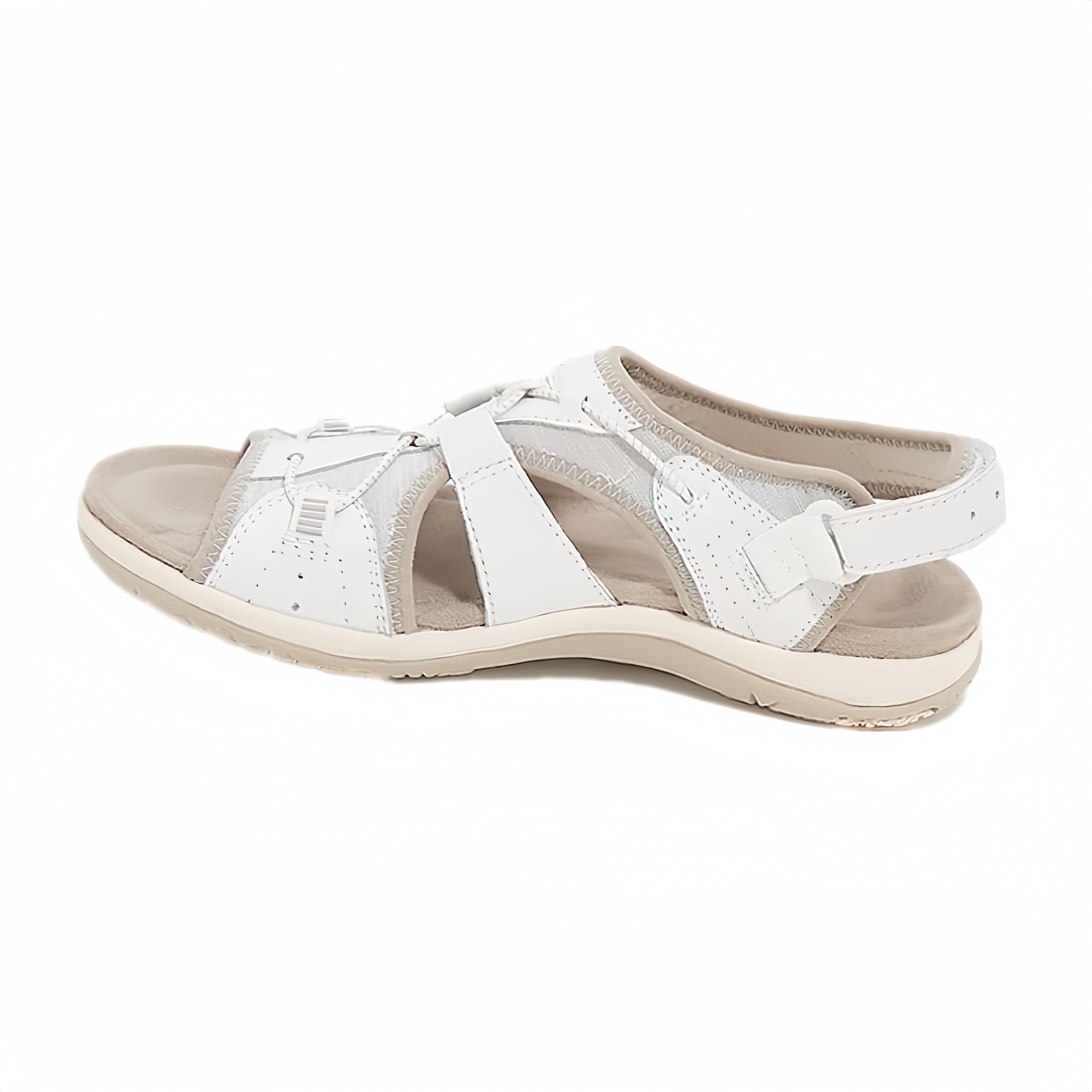 /6a1081d4d441d20009a460da/2026/05/22/product-img-6a10853291ef3d0d28f417e7.png